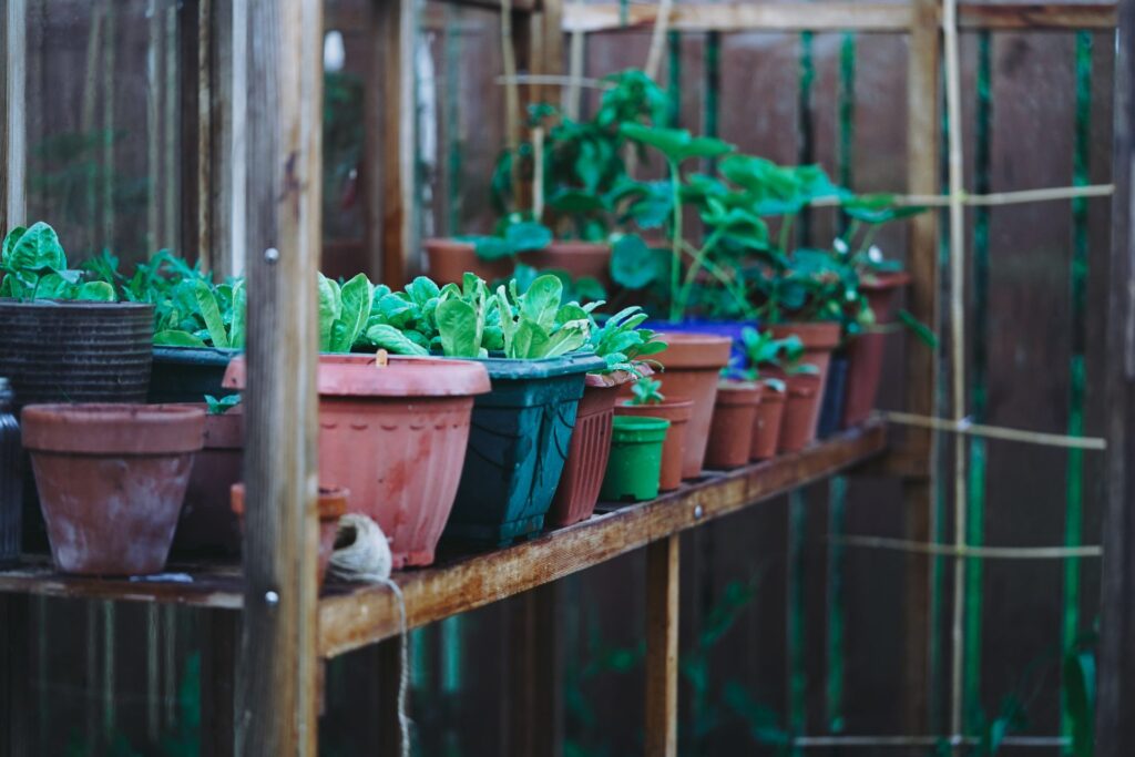 Homekit Eve Aqua automated Greenhouse