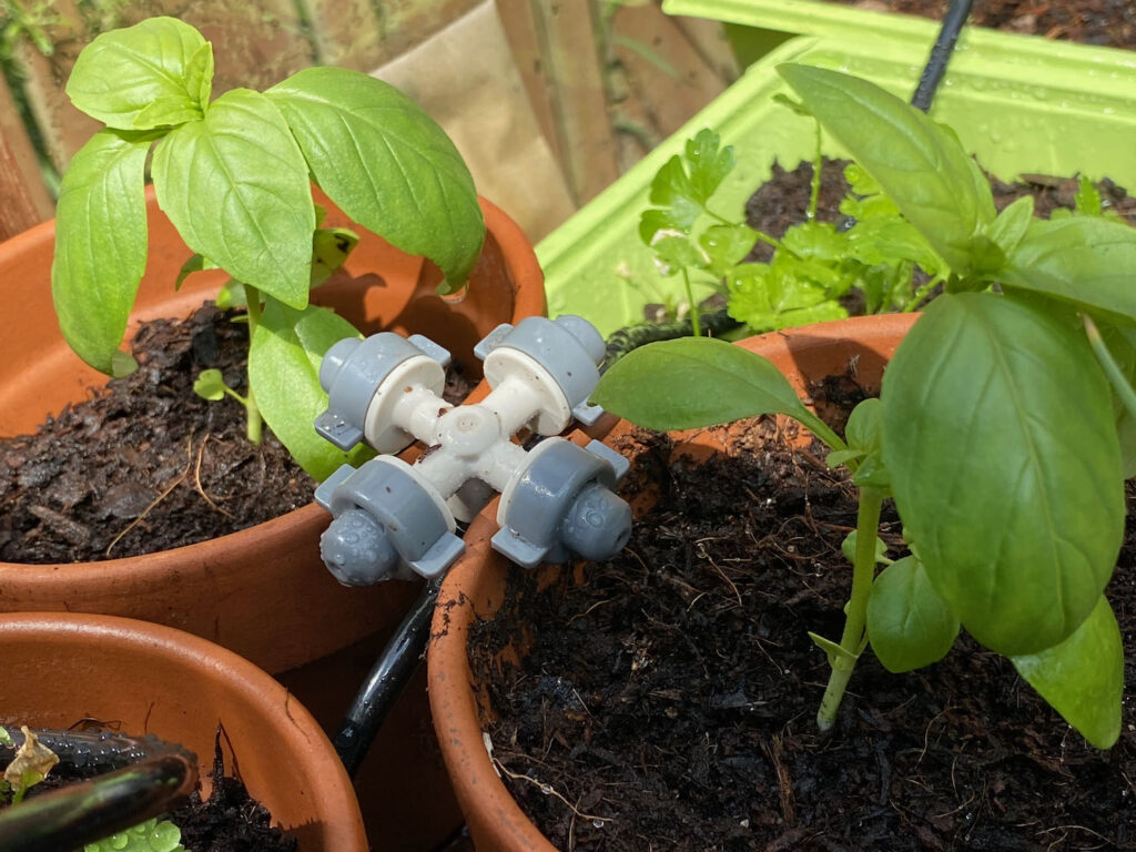 automated greenhouse watering