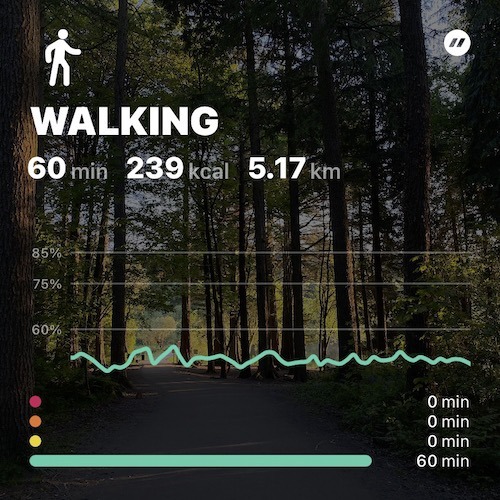 Apple Watch Walking Review